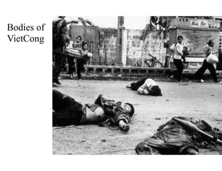 Bodies of
VietCong
 