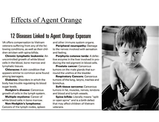 Effects of Agent Orange
 