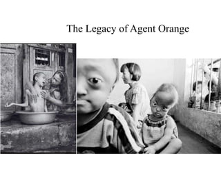 The Legacy of Agent Orange
 
