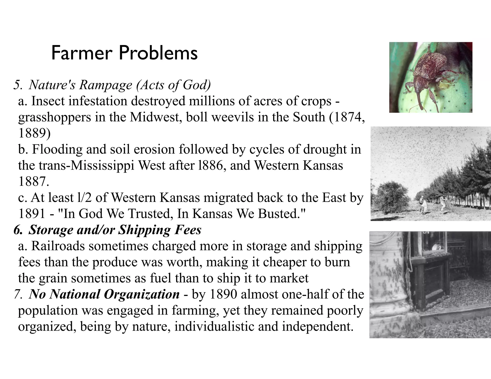 Farmer Problems
5. Nature's Rampage (Acts of God)  
a. Insect infestation destroyed millions of acres of crops -
grasshoppers in the Midwest, boll weevils in the South (1874,
1889) 
b. Flooding and soil erosion followed by cycles of drought in
the trans-Mississippi West after l886, and Western Kansas
1887. 
c. At least l/2 of Western Kansas migrated back to the East by
1891 - "In God We Trusted, In Kansas We Busted."
6. Storage and/or Shipping Fees  
a. Railroads sometimes charged more in storage and shipping
fees than the produce was worth, making it cheaper to burn
the grain sometimes as fuel than to ship it to market
7. No National Organization - by 1890 almost one-half of the
population was engaged in farming, yet they remained poorly
organized, being by nature, individualistic and independent.
 
