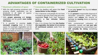 Containerized Cultivation for Year-Round Vegetable Production.pptx
