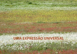 UMA EXPRESSÃO UNIVERSAL

 