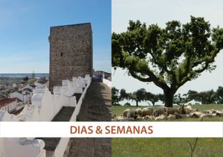 DIAS & SEMANAS

 