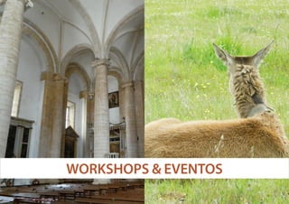 WORKSHOPS & EVENTOS

 