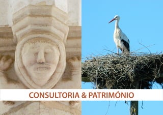 CONSULTORIA & PATRIMÓNIO

 