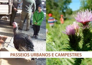 PASSEIOS URBANOS E CAMPESTRES

 