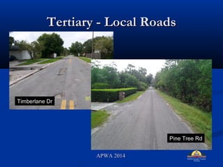 Tertiary - Local RoadsTertiary - Local Roads
Pine Tree Rd
Timberlane Dr
APWA 2014APWA 2014
 