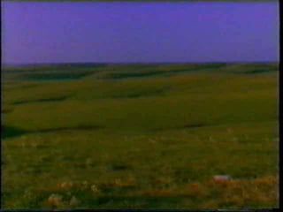 Abandon tribe, culture and become farmers 