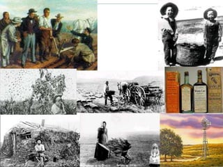 Male claimed 160 acres of land