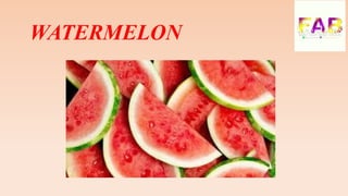 objects in RED color | PDF
