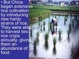 • But China
began extensive
rice cultivation
by introducing
new hardy
strains of rice.
They were able
to harvest two
rice crops
annually, giving
them an
abundance of
food.
 