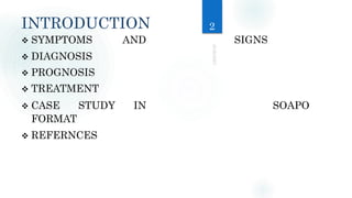 INTRODUCTION
 SYMPTOMS AND SIGNS
 DIAGNOSIS
 PROGNOSIS
 TREATMENT
 CASE STUDY IN SOAPO
FORMAT
 REFERNCES
2
 