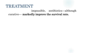 TREATMENT
impossible, antibiotics—although
curative— markedly improve the survival rate.
 