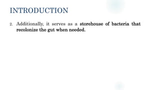 INTRODUCTION
2. Additionally, it serves as a storehouse of bacteria that
recolonize the gut when needed.
 