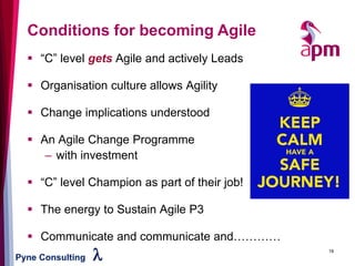 Pyne Consulting l 18
Conditions for becoming Agile
▪ “C” level gets Agile and actively Leads
▪ Organisation culture allows Agility
▪ Change implications understood
▪ An Agile Change Programme
– with investment
▪ “C” level Champion as part of their job!
▪ The energy to Sustain Agile P3
▪ Communicate and communicate and…………
 