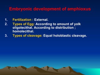 Devpt of Amphioxus | PDF