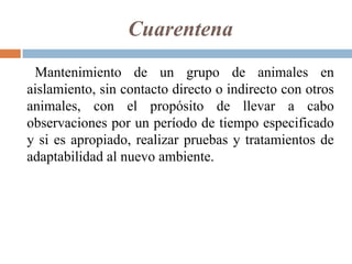 Cuarentena
Mantenimiento de un grupo de animales en
aislamiento, sin contacto directo o indirecto con otros
animales, con el propósito de llevar a cabo
observaciones por un período de tiempo especificado
y si es apropiado, realizar pruebas y tratamientos de
adaptabilidad al nuevo ambiente.
 