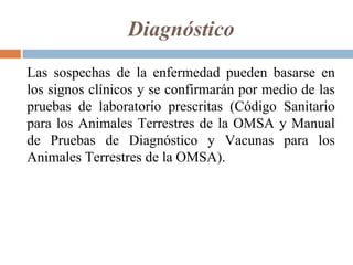 Diagnóstico
Las sospechas de la enfermedad pueden basarse en
los signos clínicos y se confirmarán por medio de las
pruebas de laboratorio prescritas (Código Sanitario
para los Animales Terrestres de la OMSA y Manual
de Pruebas de Diagnóstico y Vacunas para los
Animales Terrestres de la OMSA).
 