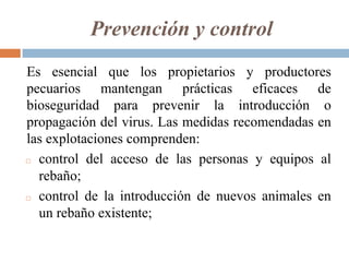 Prevención y control
Es esencial que los propietarios y productores
pecuarios mantengan prácticas eficaces de
bioseguridad para prevenir la introducción o
propagación del virus. Las medidas recomendadas en
las explotaciones comprenden:
◻ control del acceso de las personas y equipos al
rebaño;
◻ control de la introducción de nuevos animales en
un rebaño existente;
 