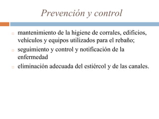 Prevención y control
◻ mantenimiento de la higiene de corrales, edificios,
vehículos y equipos utilizados para el rebaño;
◻ seguimiento y control y notificación de la
enfermedad
◻ eliminación adecuada del estiércol y de las canales.
 
