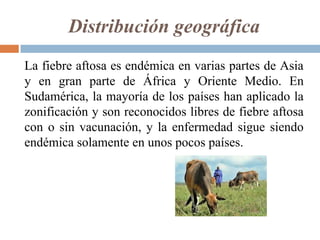 Distribución geográfica
La fiebre aftosa es endémica en varias partes de Asia
y en gran parte de África y Oriente Medio. En
Sudamérica, la mayoría de los países han aplicado la
zonificación y son reconocidos libres de fiebre aftosa
con o sin vacunación, y la enfermedad sigue siendo
endémica solamente en unos pocos países.
 