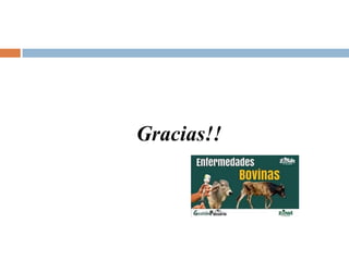 Gracias!!
 