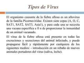 Tipos de Virus
El organismo causante de la fiebre aftosa es un aftovirus
de la familia Picornaviridae. Existen siete cepas (A, O, C,
SAT1, SAT2, SAT3, Asia1), y para cada una se necesita
una vacuna específica a fi n de proporcionar la inmunidad
de un animal vacunado.
El virus de la fiebre aftosa está presente en todas las
excreciones y secreciones del animal infectado, y puede
propagarse fácil y rápidamente por cualquiera de los
siguientes medios: - introducción en un rebaño de nuevos
animales portadores del virus (saliva, leche).
 