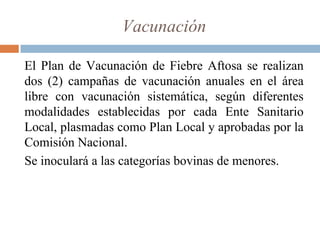 Vacunación
El Plan de Vacunación de Fiebre Aftosa se realizan
dos (2) campañas de vacunación anuales en el área
libre con vacunación sistemática, según diferentes
modalidades establecidas por cada Ente Sanitario
Local, plasmadas como Plan Local y aprobadas por la
Comisión Nacional.
Se inoculará a las categorías bovinas de menores.
 