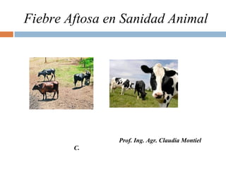 Fiebre Aftosa en Sanidad Animal
Prof. Ing. Agr. Claudia Montiel
C.
 