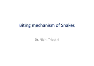Biting mechanism of Snakes
Dr. Nidhi Tripathi
 