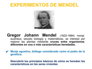 EXPERIMENTOS DE MENDEL
Gregor Johann Mendel (1822-1884) monje
austriaco, estudio biología y matemáticas, se interesó por
mejorar las plantas mediante cruces entre organismos
diferentes en una o más características heredadas.
✔ Monje agustino, biólogo considerado como el padre de la
genética.
Descubrió los principios básicos de cómo se heredan las
características en los seres vivientes
 