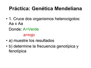 Práctica: Genética Mendeliana
• 1. Cruce dos organismos heterocigotos:
Aa x Aa
Donde: A=Verde
a=rojo
• a) muestre los resultados
• b) determine la frecuencia genotípica y
fenotípica
 