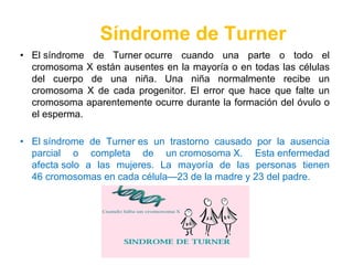 Síndrome de Turner
• El síndrome de Turner ocurre cuando una parte o todo el
cromosoma X están ausentes en la mayoría o en todas las células
del cuerpo de una niña. Una niña normalmente recibe un
cromosoma X de cada progenitor. El error que hace que falte un
cromosoma aparentemente ocurre durante la formación del óvulo o
el esperma.
• El síndrome de Turner es un trastorno causado por la ausencia
parcial o completa de un cromosoma X. Esta enfermedad
afecta solo a las mujeres. La mayoría de las personas tienen
46 cromosomas en cada célula—23 de la madre y 23 del padre.
 