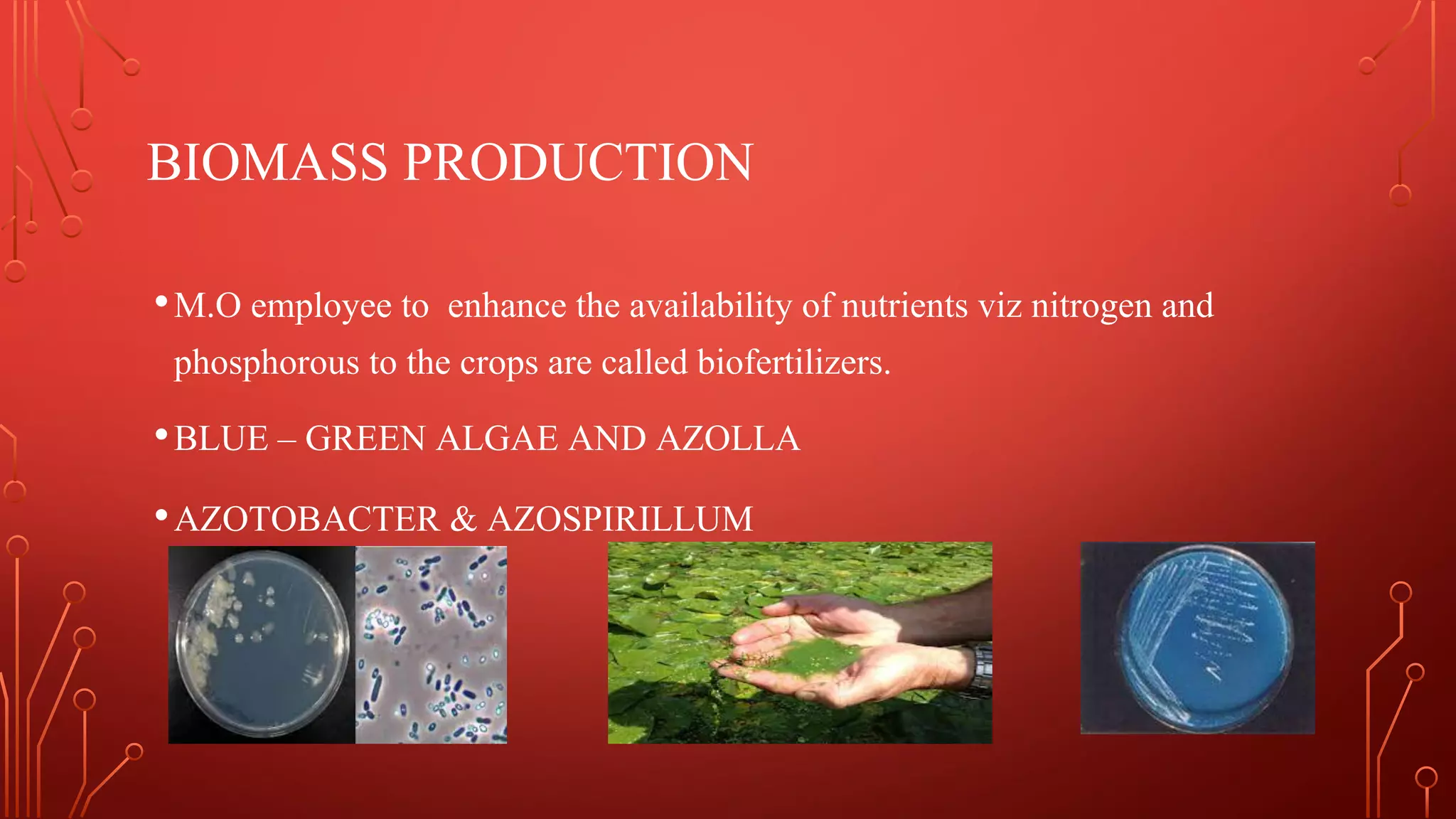 Role of biotechnology in environmental pollution | PDF