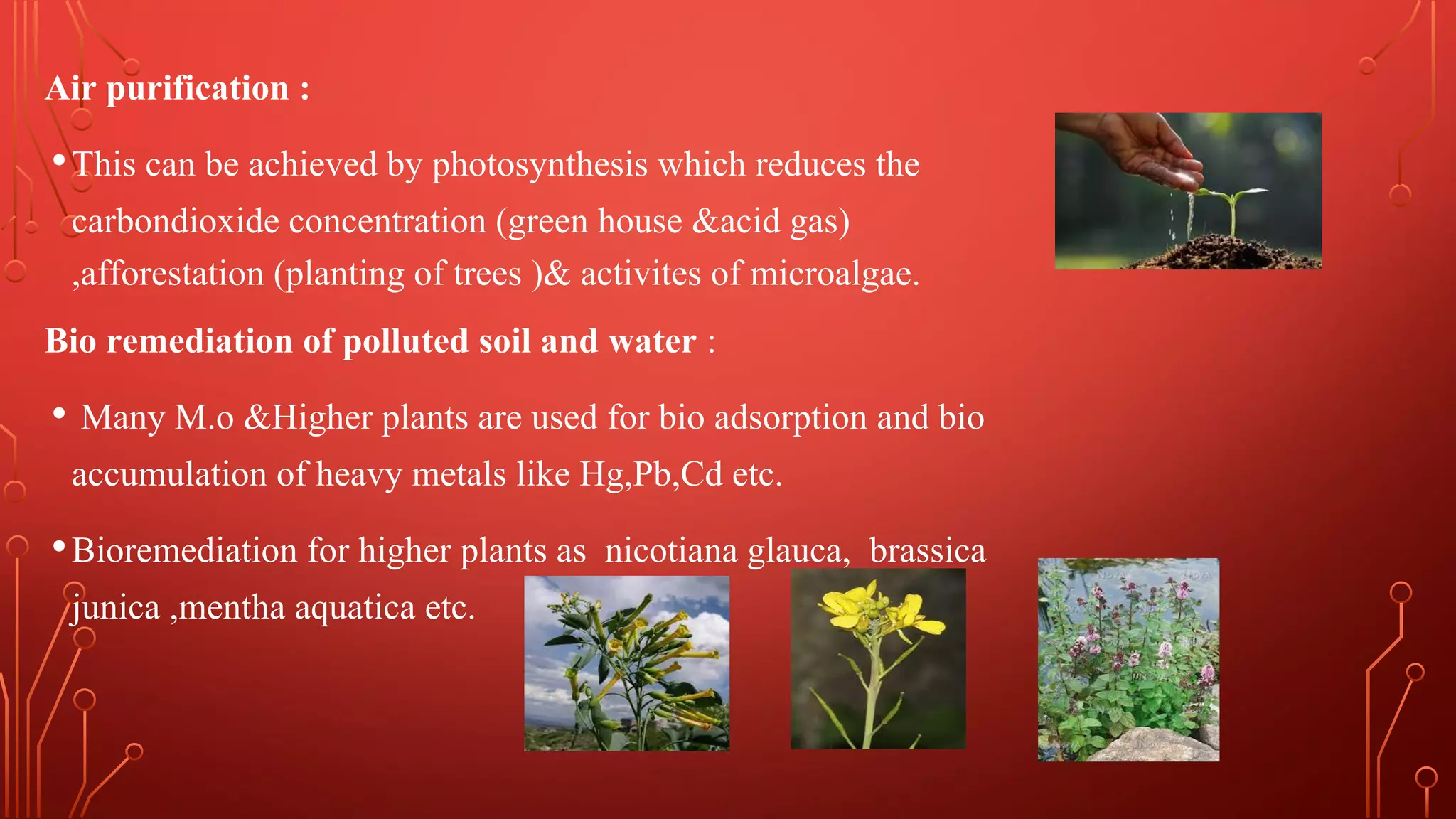Role of biotechnology in environmental pollution | PDF