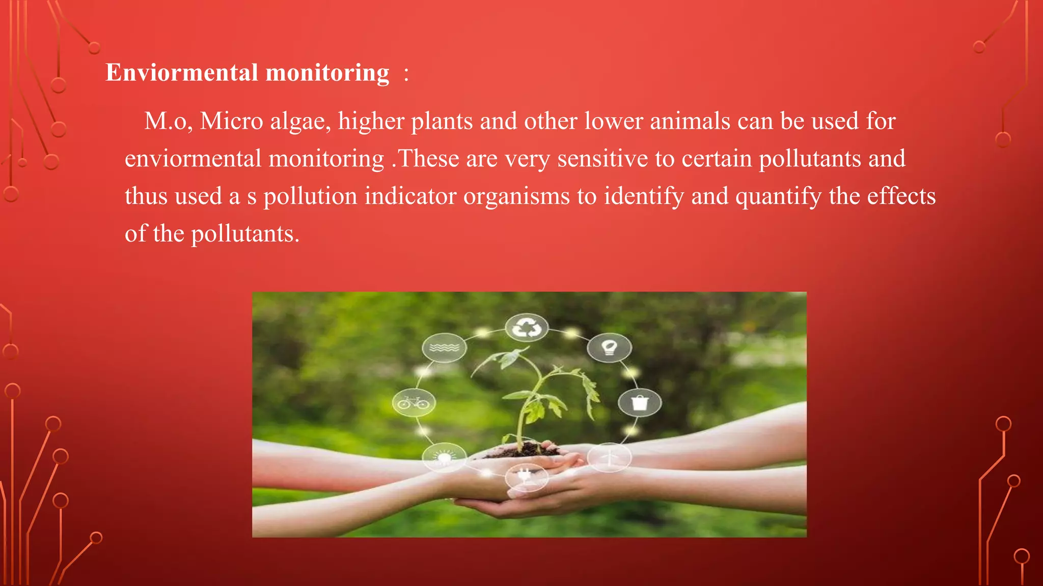 Role of biotechnology in environmental pollution | PDF