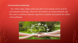 Role of biotechnology in environmental pollution | PDF
