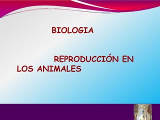 COLEGIO PARROQUIAL SAN PEDRO
CLAVER
BIOLOGIA
REPRODUCCIÓN EN
LOS ANIMALES
 