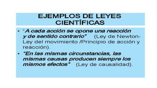 EL CONOCIMIENTO Y LA REALIDAD | PDF