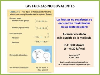 LAS FUERZAS NO COVALENTES
Las fuerzas no covalentes se
encuentran maximizadas
en las proteínas para:
Alcanzar el estado
más estable de la molécula
C-C: 350 kJ/mol
O---H: 20 kJ/mol
1 mol: 6x1023
4.2 kJ: 1 kcal
1 cal: energía necesaria para elevar
1ºC la temperatura de un gramo de agua
 