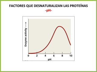FACTORES QUE DESNATURALIZAN LAS PROTEÍNAS
-pH-
 