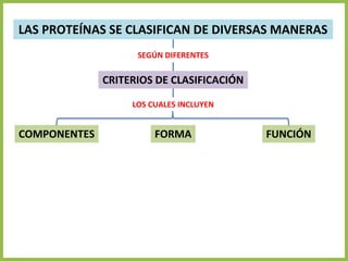 LAS PROTEÍNAS SE CLASIFICAN DE DIVERSAS MANERAS
CRITERIOS DE CLASIFICACIÓN
COMPONENTES FORMA FUNCIÓN
SEGÚN DIFERENTES
LOS CUALES INCLUYEN
 