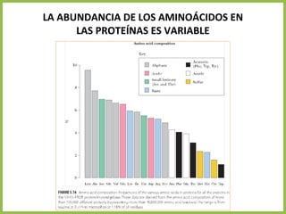 LA ABUNDANCIA DE LOS AMINOÁCIDOS EN
LAS PROTEÍNAS ES VARIABLE
 