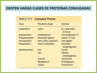 EXISTEN VARIAS CLASES DE PROTEÍNAS CONJUGADAS
 