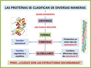 LAS PROTEÍNAS SE CLASIFICAN DE DIVERSAS MANERAS
CRITERIOS
FORMA
FIBROSAS
GLOBULARES
SEGÚN DIFERENTES
LOS CUALES INCLUYEN
Función:
estructural
Función:
regulatoria y
catalítica
Predomina un
único tipo de
estructura 2ª
Combina
diferentes tipos
de estructura 2ª
PERO…¿CUÁLES SON LAS ESTRUCTURAS SECUNDARIAS?
 
