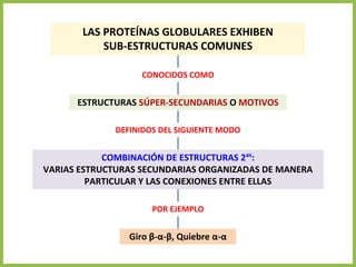 LAS PROTEÍNAS GLOBULARES EXHIBEN
SUB-ESTRUCTURAS COMUNES
ESTRUCTURAS SÚPER-SECUNDARIAS O MOTIVOS
CONOCIDOS COMO
DEFINIDOS DEL SIGUIENTE MODO
COMBINACIÓN DE ESTRUCTURAS 2as
:
VARIAS ESTRUCTURAS SECUNDARIAS ORGANIZADAS DE MANERA
PARTICULAR Y LAS CONEXIONES ENTRE ELLAS
POR EJEMPLO
Giro β-α-β, Quiebre α-α
 