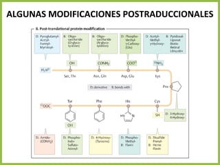 ALGUNAS MODIFICACIONES POSTRADUCCIONALES
 