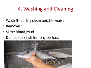 4. Washing and Cleaning
• Wash fish using clean potable water
• Removes:
• Slime,Blood,Mud
• Do not soak fish for long periods
 