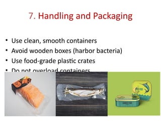 7. Handling and Packaging
• Use clean, smooth containers
• Avoid wooden boxes (harbor bacteria)
• Use food-grade plastic crates
• Do not overload containers
 