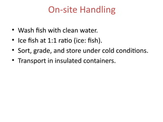 On-site Handling
• Wash fish with clean water.
• Ice fish at 1:1 ratio (ice: fish).
• Sort, grade, and store under cold conditions.
• Transport in insulated containers.
 